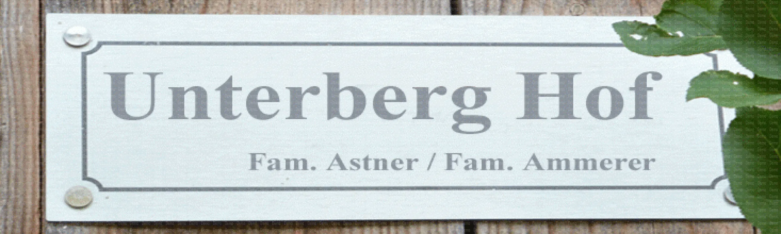 Bild1